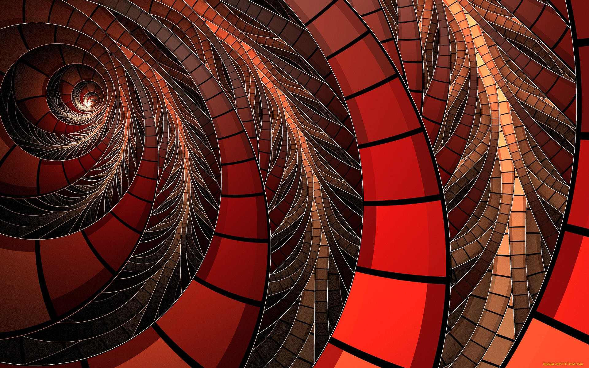 3� �������, fractal , ��������, ����, ���, �����